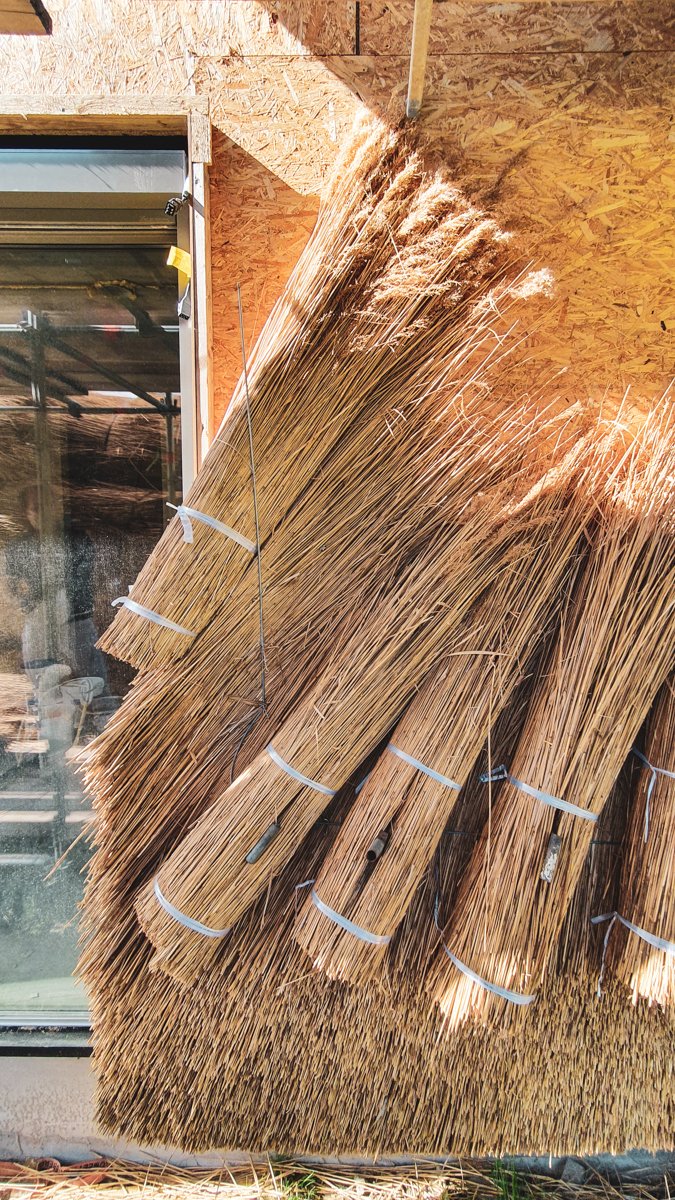 IJsselpark bouw langs het riet